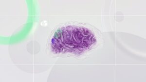 abstract picture of a brain on a white background