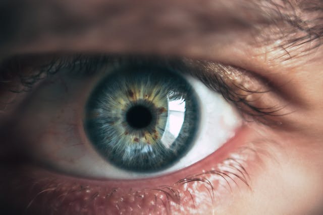 close up photo of a person's blue eye